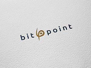 bitpoint logo manuál  informačný systém