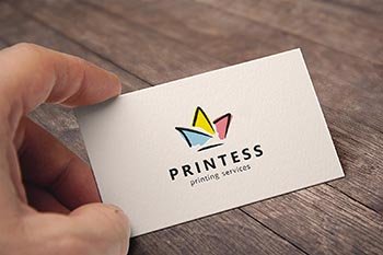 PRINTESS logo manuál  informačný systém